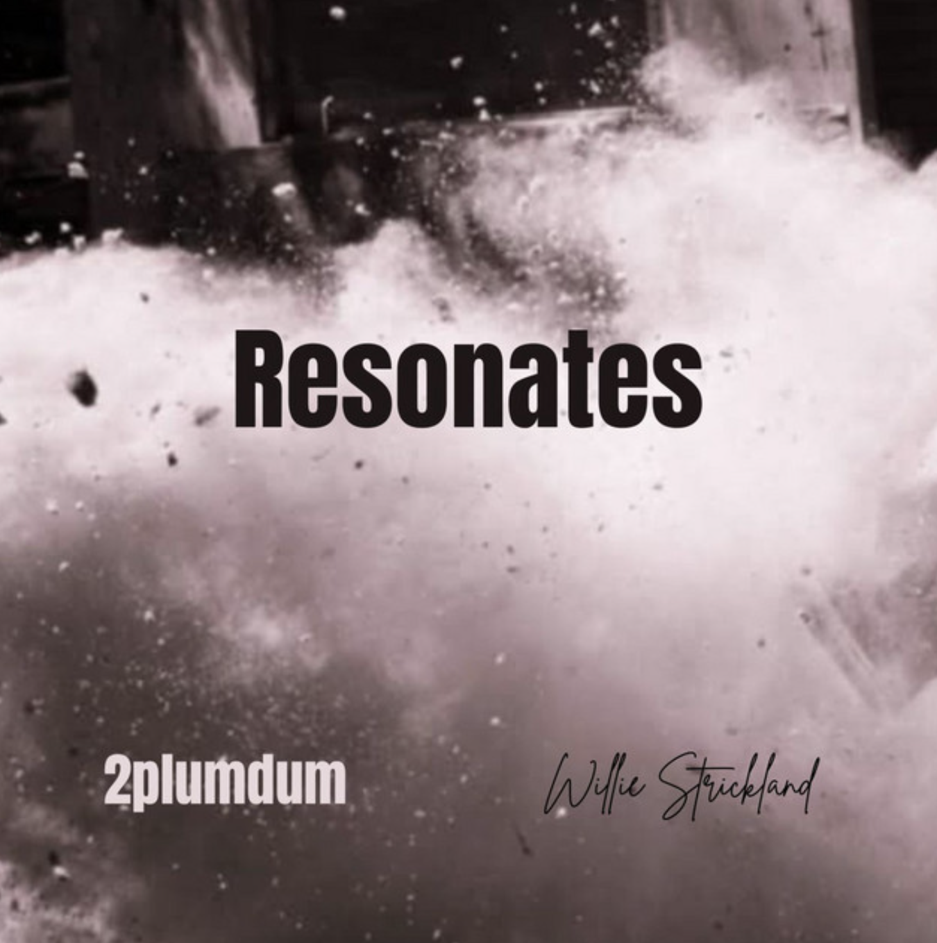 2plumdum